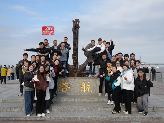 Our Team