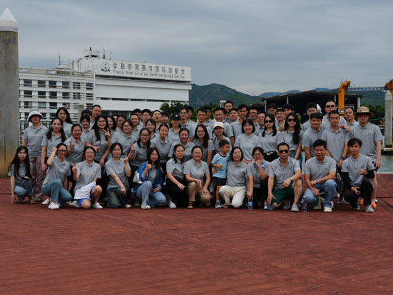 Our Team